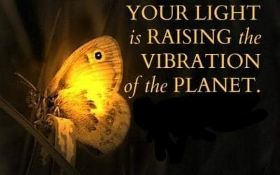 KIES JIJ VOOR PUPPET OF HART.