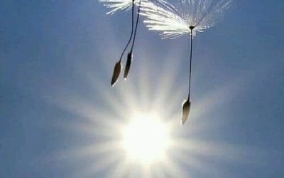 POSITIEVE ASCENSIE SYMPTOMEN.