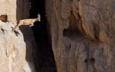 TAKE A LEAP OF FAITH.