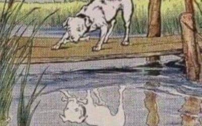 DE ZES BASISANGSTEN.