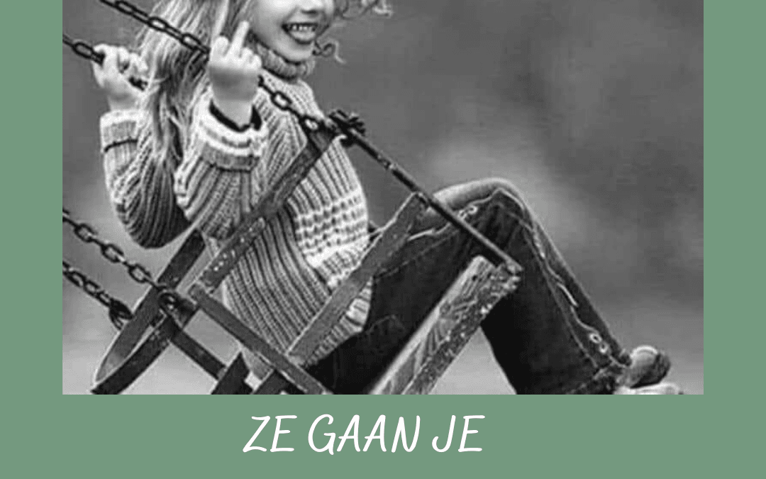 ZE GAAN JE VOOR GEK VERKLAREN.