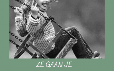 ZE GAAN JE VOOR GEK VERKLAREN.