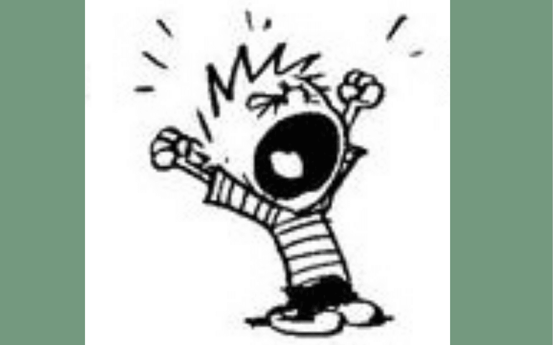 GEFRUSTREERD DAT JE ANDEREN NIET WAKKER KUNT MAKEN?