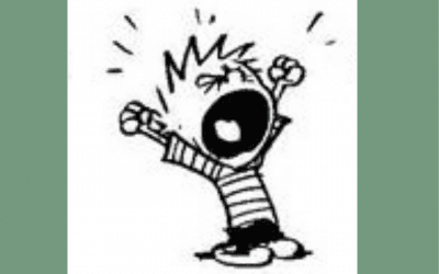 GEFRUSTREERD DAT JE ANDEREN NIET WAKKER KUNT MAKEN?