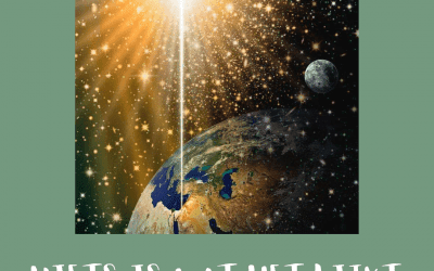 NIETS IS WAT HET LIJKT.