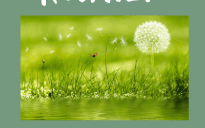 ROUWEN, EEN UNIVERSEEL PROCES.